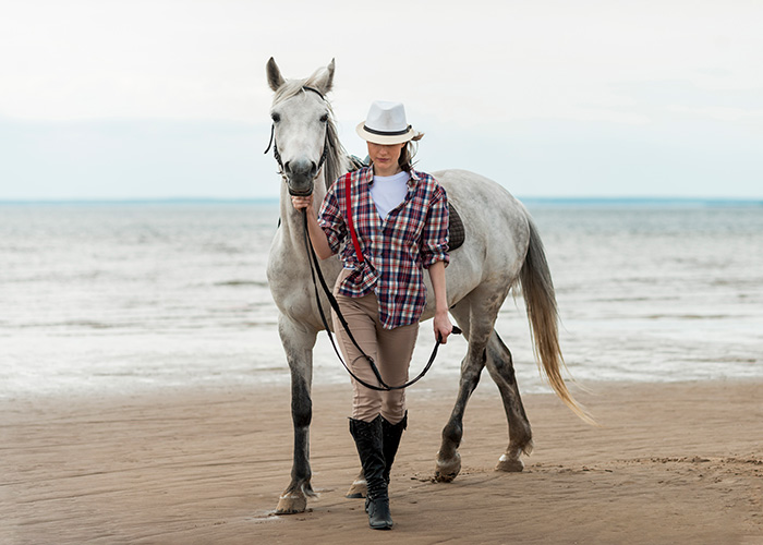5 horse to live the passion of riding